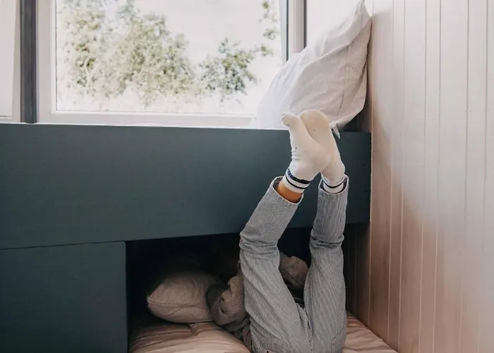 Dobberhuisje Kaag Tatil Evi